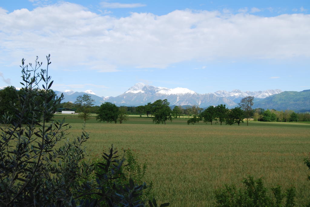 Antico Borgo Bed and Breakfast San Daniele del Friuli Buitenkant foto